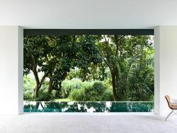 King Albert Park (D21), Detached #528746881